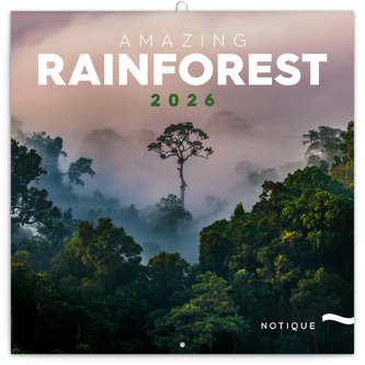 Kalendář 2026 poznámkový: Deštné pralesy 30 x 30 cm