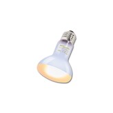 ReptiZoo žárovka Daylight basking spot 25W