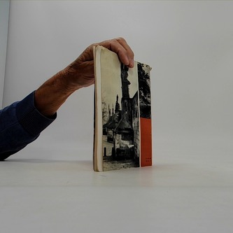 Karlův most, the charles bridge, die karlsbrucke