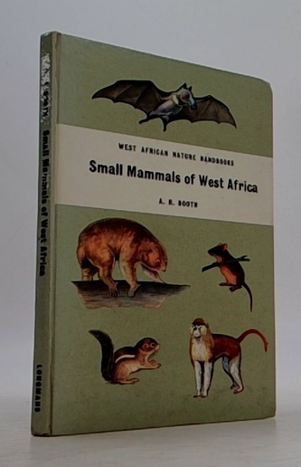 Small mammals of west africa