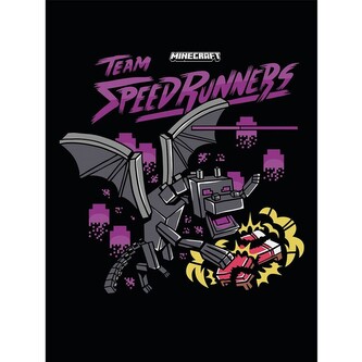 Obraz na plátně Minecraft - Team Speedrunners, 2 - 60×80 cm