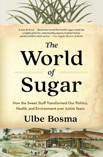 The World of Sugar