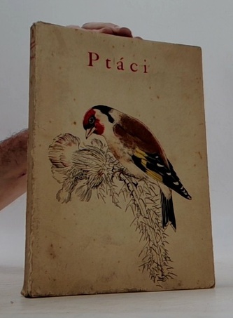Ptáci díl 1.