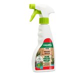 INPORO Zelené pokojové rostliny rozprašovač - 250 ml/R