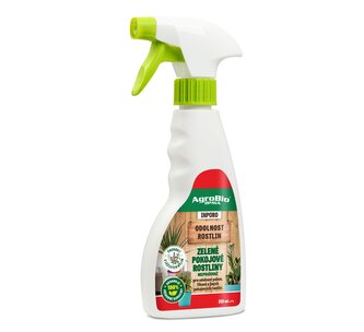 INPORO Zelené pokojové rostliny rozprašovač - 250 ml/R
