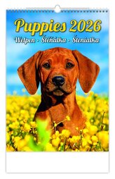 Kalendář Štěňátka