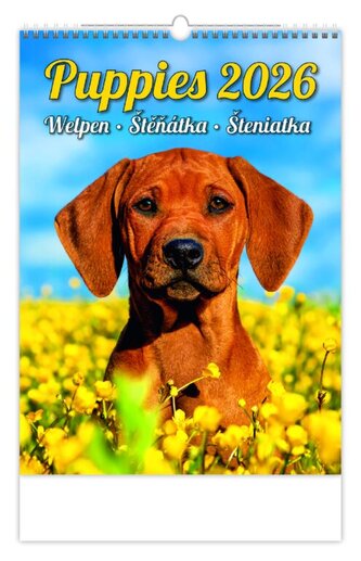 Kalendář Štěňátka