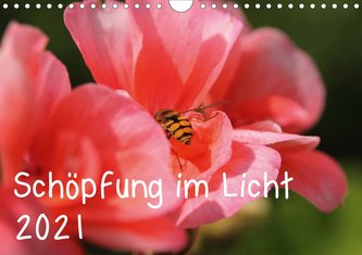 Schöpfung im Licht (Wandkalender 2021 DIN A4 quer)