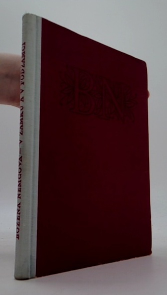 V zámu a podzámčí