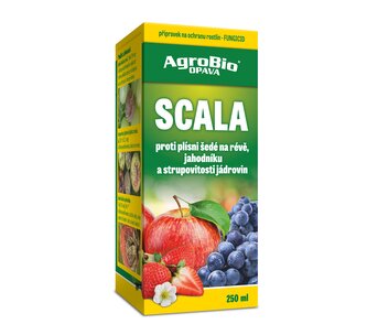 Scala - 250 ml