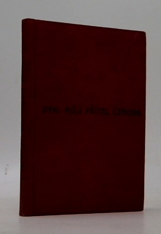 Můj přítel Čehona