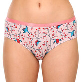 Veselé dámské kalhotky Dedoles Ptáčci v jeřabině (D-W-UN-HB-C-C-919) L