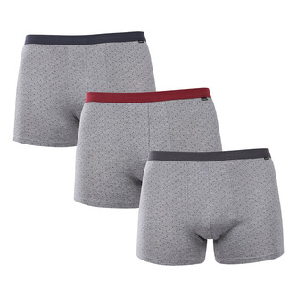 3PACK pánské boxerky Andrie šedé (PS 5702) L