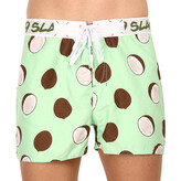 Pánské plavky 69SLAM coco brown mateo (SSCCCO-PM) L