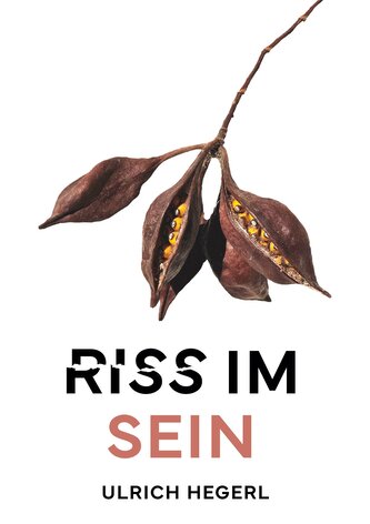 Riss im Sein