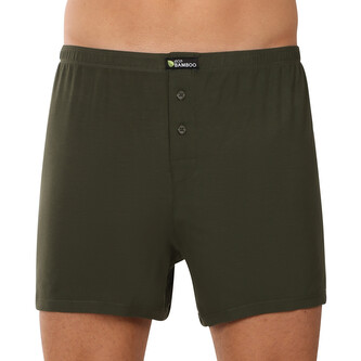 Pánské trenky Gino bambusové zelené (75194) M