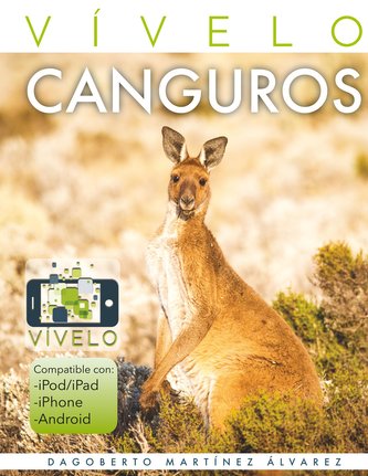 Vívelo: Canguros