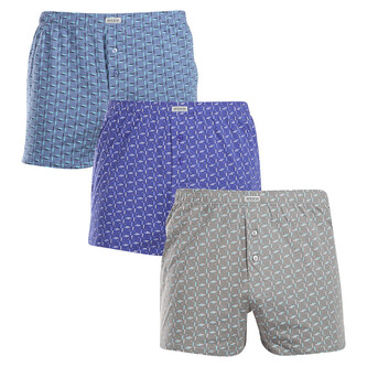 3PACK pánské trenky Andrie vícebarevné (PS 5820) XL