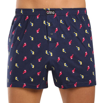 Pánské trenky Gino vícebarevné (75199-DCMDFR) XL