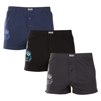 3PACK pánské trenky Andrie vícebarevné (PS 5852) L