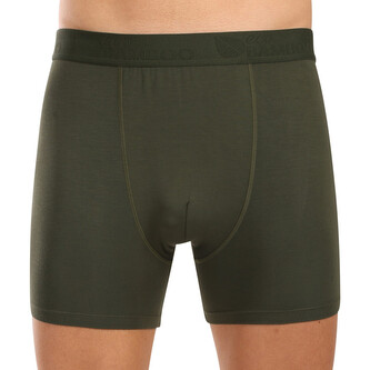 Pánské boxerky Gino zelené (74160-DCZ) L