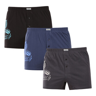 3PACK pánské trenky Andrie vícebarevné (PS 5853) L