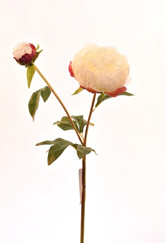 Květina UH pivoňka bílá 50 cm