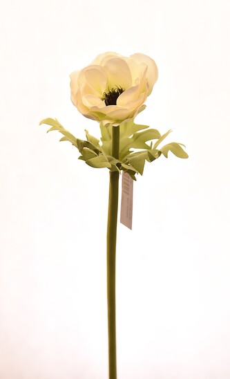 Květina UH vlčí mák bílý 50 cm