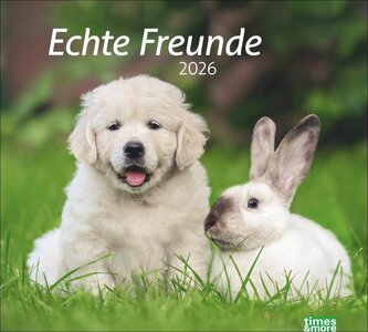 times&more Echte Freunde Bildkalender 2026