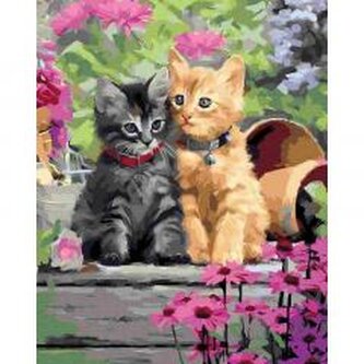 Malowanie po numerach - Kotki w uścisku 40x50cm