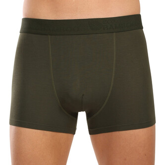 Pánské boxerky Gino zelené (73126) XL