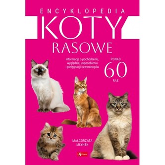 Koty rasowe Emcyklopedia Koty rasowe Emcyklopedia