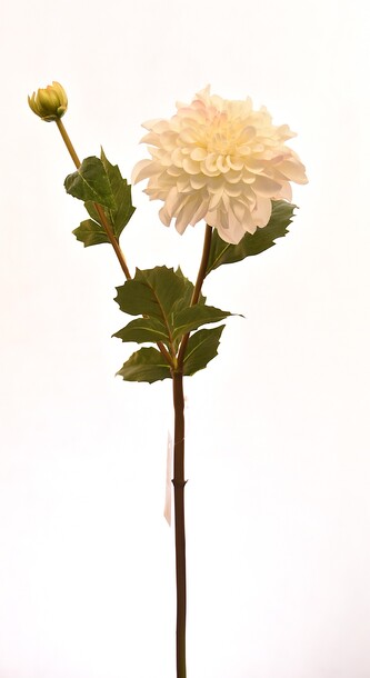 Květina UH Jiřinka bílá 68 cm