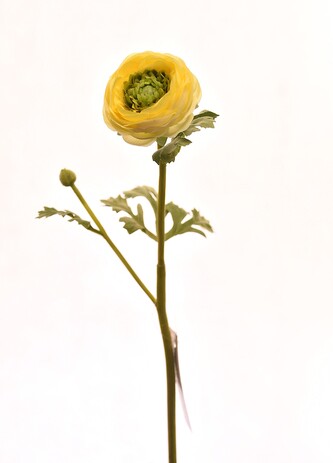 Květina UH pryskyřník žlutá 37 cm