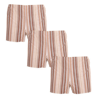 3PACK Klasické pánské trenky Foltýn hnědé s proužky (3xK53) M