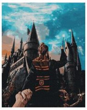 Malowanie po numerach - Magia Hogwartu 40x50cm