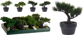 DRZEWKO BONSAI SZTUCZNE 4 RODZAJE