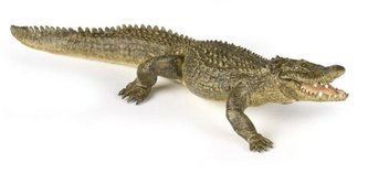 Aligátor