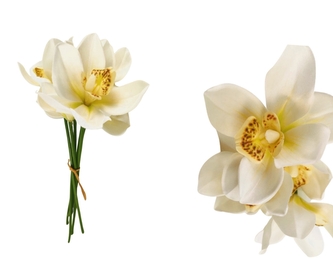 Svazek bílých orchidejí 6ks, 36 cm Svazek bílých orchidejí 6ks, 36 cm