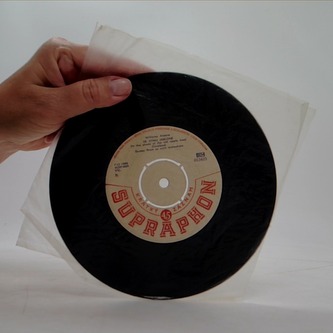 Ve stínu jabloně - SP