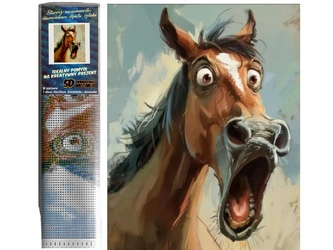 Diamantové malování 30x40cm kůň v úžasu