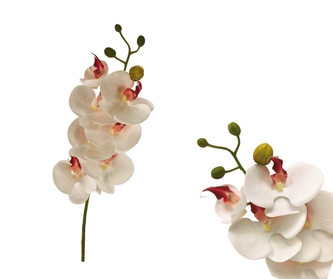 Umělá bílá orchidej 72 cm Umělá bílá orchidej 72 cm