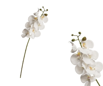 Umělá bílá orchidej 72 cm Umělá bílá orchidej 72 cm