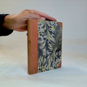 Čtení o Karlu Havlíčkovi a Vácslavu Beneši-Třebízském