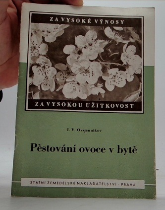 Pěstování ovoce v bytě