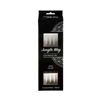 Designová skleněná brčka Jungle Way 4ks, s čistícím kartáčkem Designová skleněná brčka Jungle Way 4ks, s čistícím kartáčkem