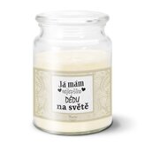 Svíčka Já mám nejlepšího dědu na světě: 500 g