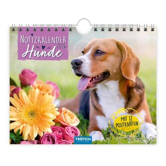Trötsch Notizkalender Querformat Notizkalender Hunde 2026 mit 12 Postkarten