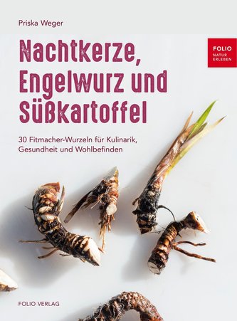 Nachtkerze, Engelwurz und Süßkartoffel