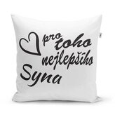 Polštář Pro toho nejlepšího syna: 40x40 cm